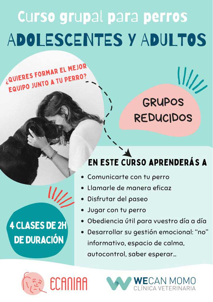 Cursos de etología para perros adolescentes y perros adultos en tu Clínica Veterinaria WECan MOMO en las Rosas Madrid
